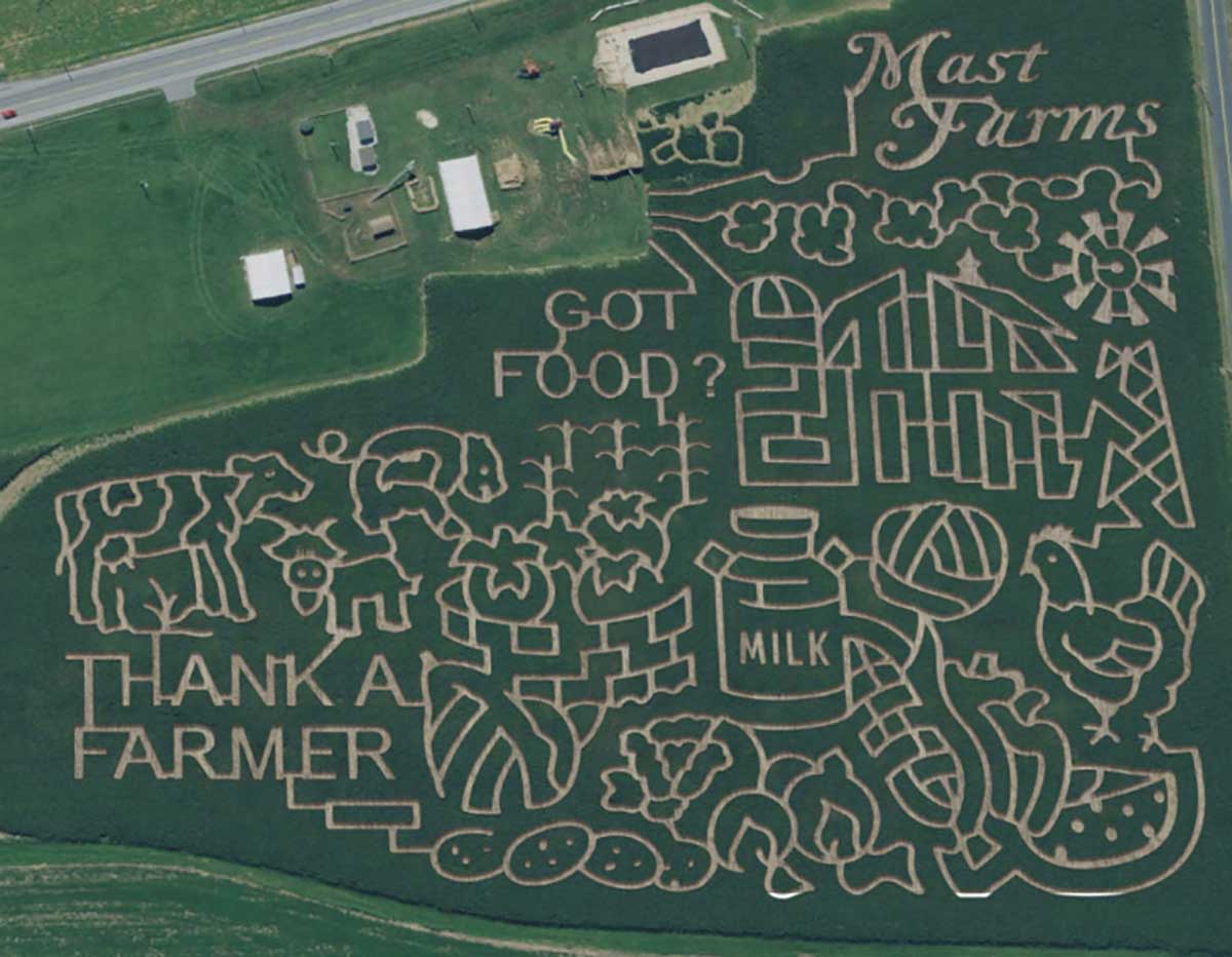 birds eye viewcorn maze