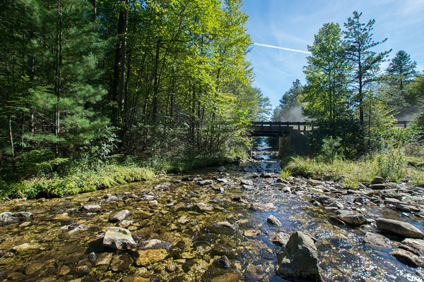 Creek in the woods along trail