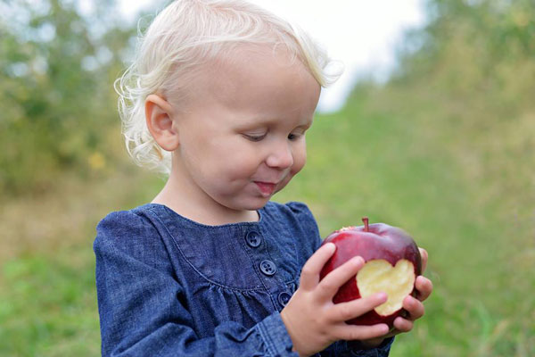 baby holding an apple with both hands