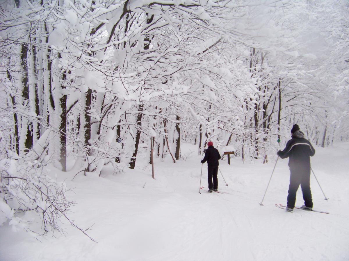 People cross country skiing