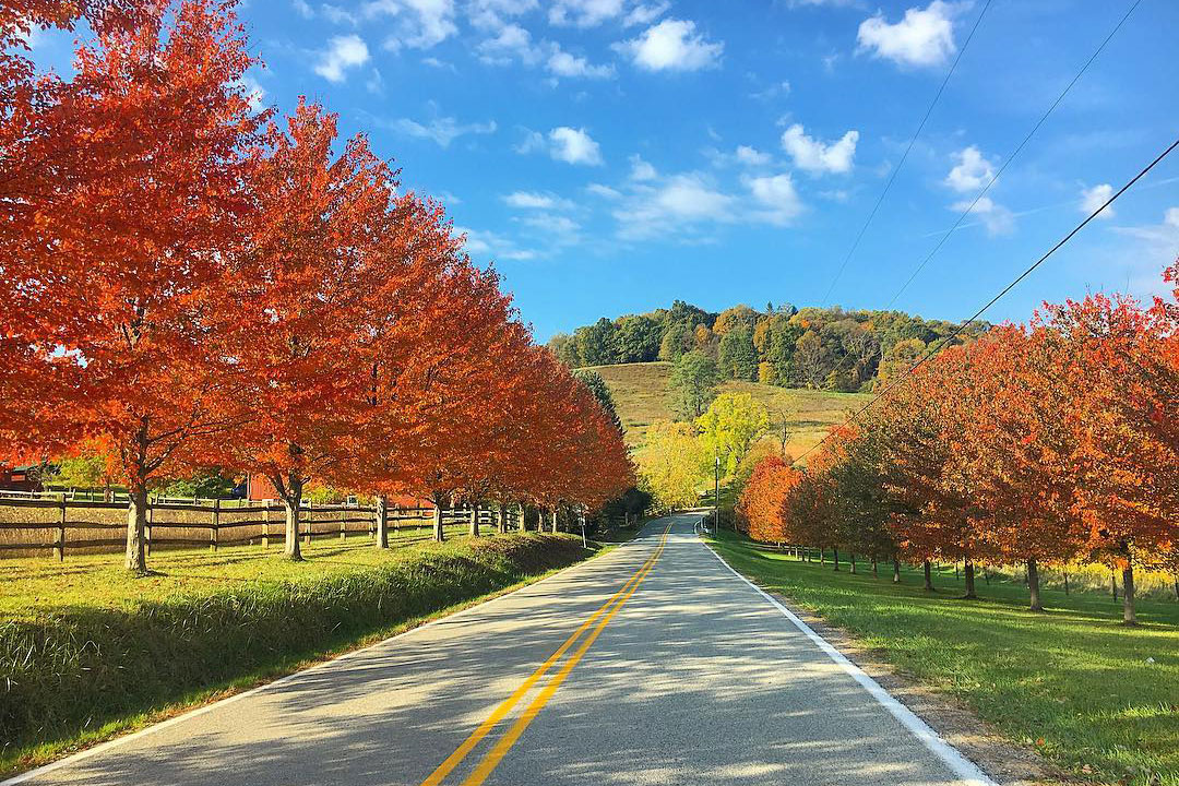 scenic drive fall colors