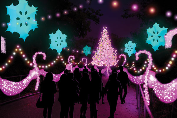 A group of people in front of a lit up christmas tree