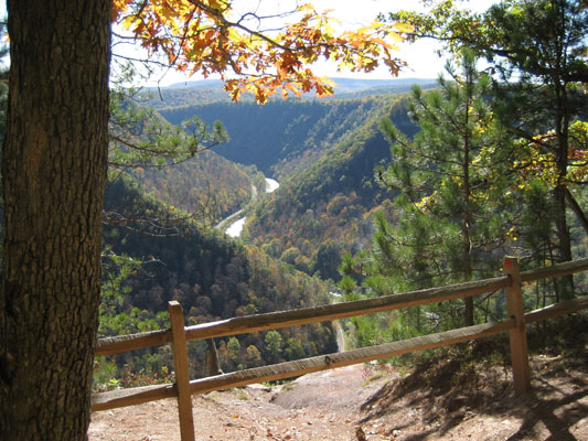 Pine Creek Gorge view