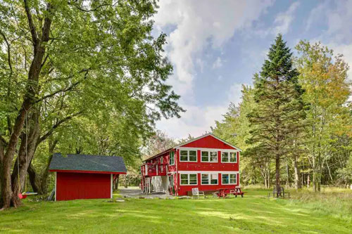 Beautiful Red cabin between pine TreeS