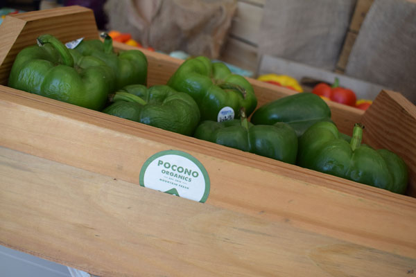 green pepper in wooden box