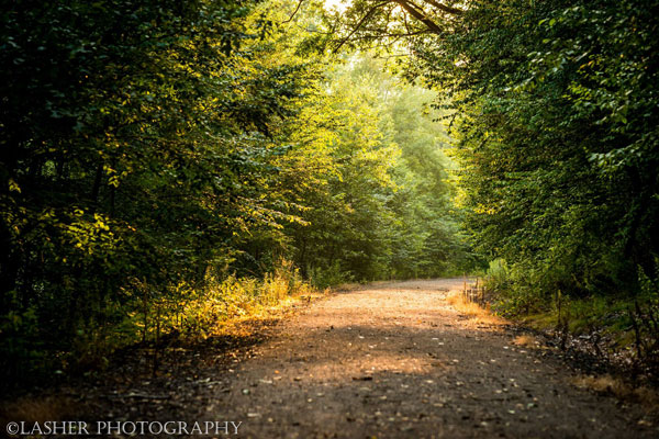 redbank trail