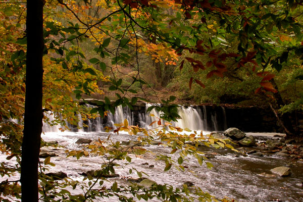waterfall on creek