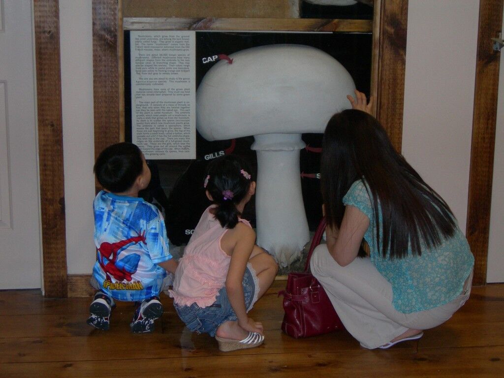 Kids learning about mushrooms