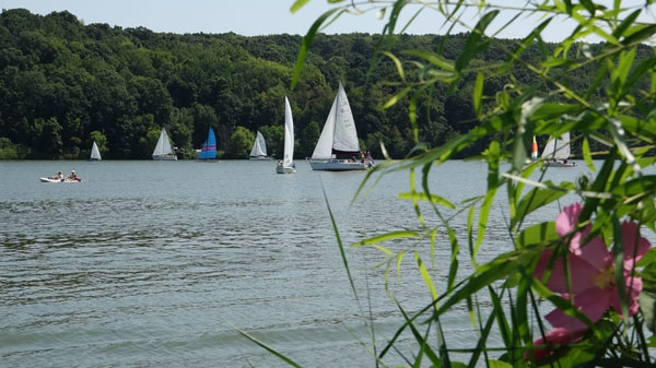 boats sailing on lake