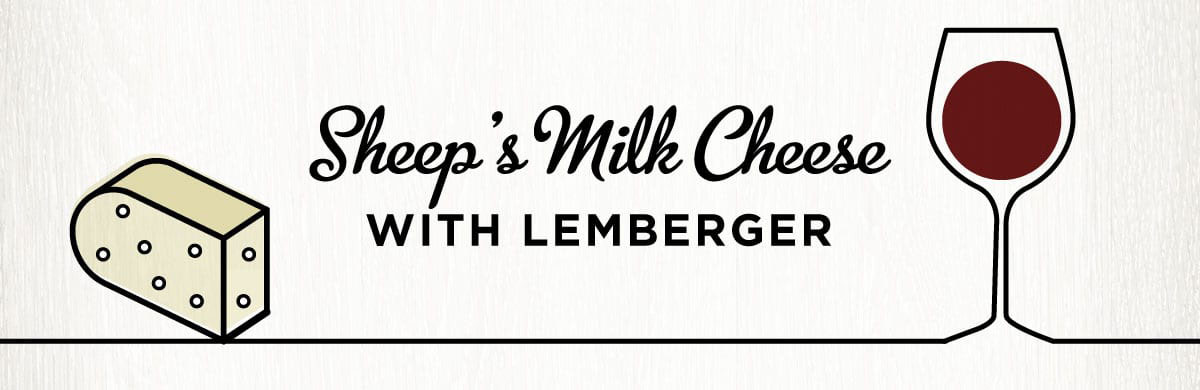 sheeps milk cheese graphic