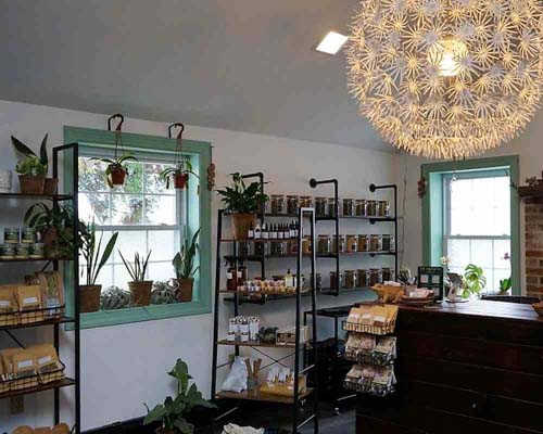 Plants and Pots shelved