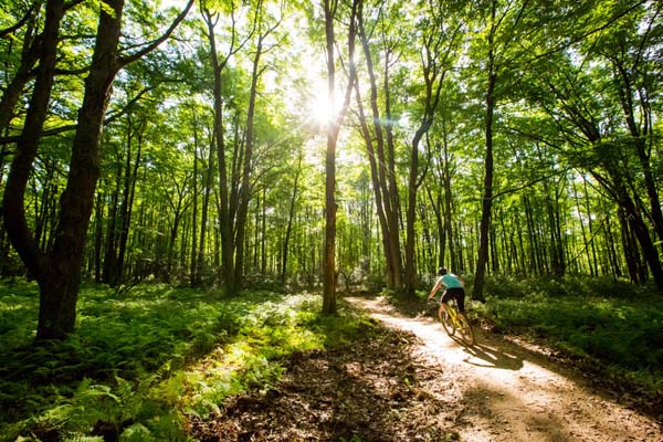 biking trails at jakes rocks