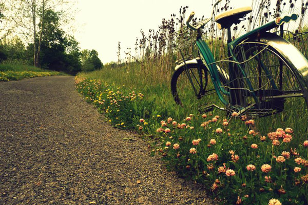 bike parked by trail