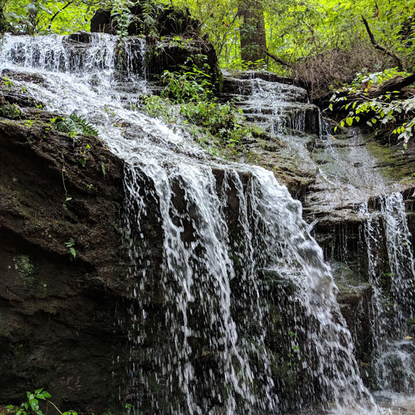 Ulmer Root Haines Waterfalls