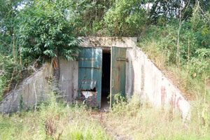 Bunker door