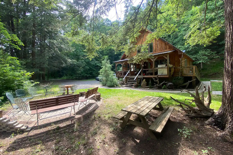 Benches under tree in front of cabin in the woods