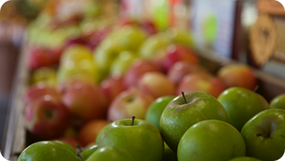 farmers market