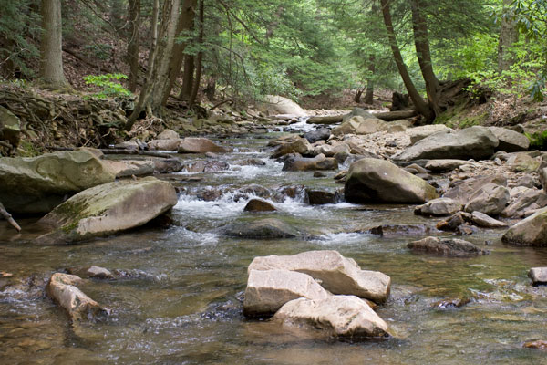 river creek by linn run hiking trail