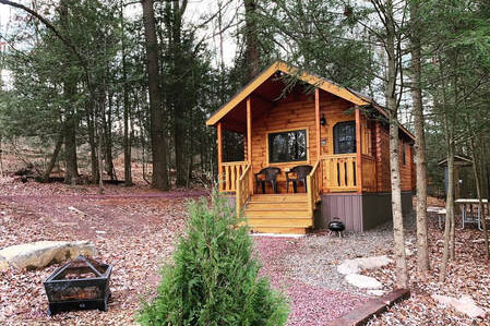 wooden cabin house in the woods