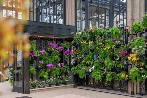 flower plants hanging on wall