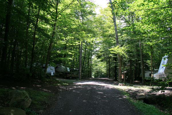 RV parked in camping spots