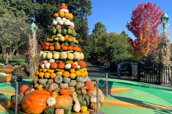 pumkins stacked like a mountain