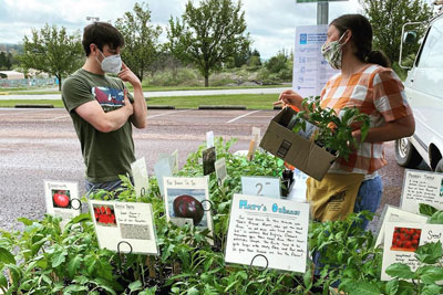 somerset farmers market