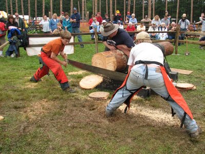 woodsmen see sawing wood logs
