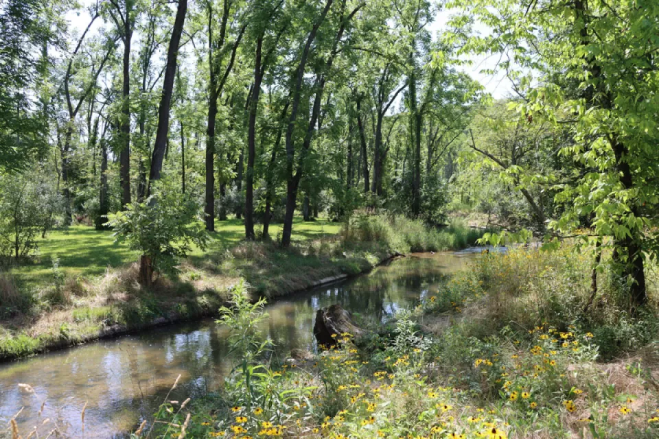 turtle creek