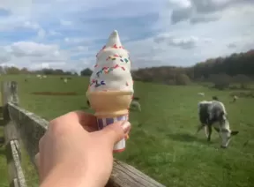 icecream cone holding in hand