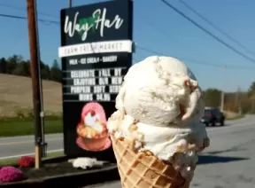 icecream serving in a waffle cone