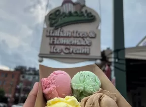 four different flavor ice scream scoops in a bowl