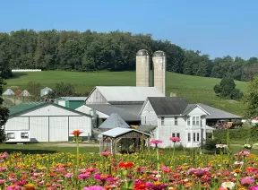 Farm with spring flowers surrounding it