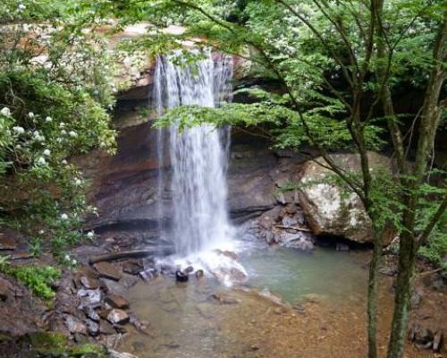 waterfall on a Ohiopyle State Park trail