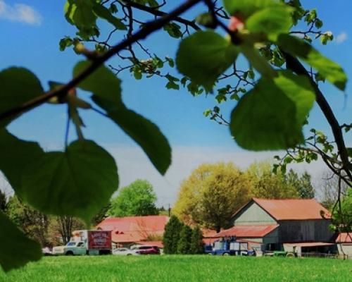 A photo of Green Dance Winery exterior buildings with trees in the foreground, very beautiful setting