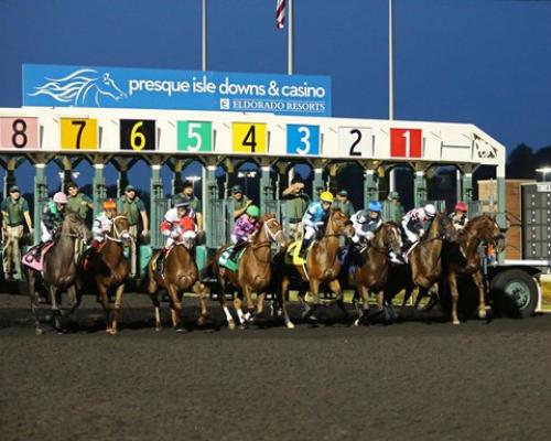 Horses coming out of the starting gate at Presque Isle Downs in Erie, PA