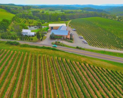 An aerial view of shady mountain winery, buildings and vineyards in the summer