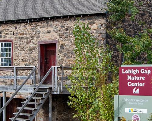 visitpa_Lehigh Valley_Lehigh Gap Nature Center_Trail-min