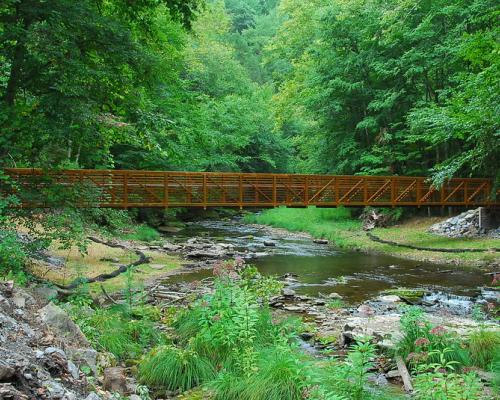 Tiadaghton State Forest 1