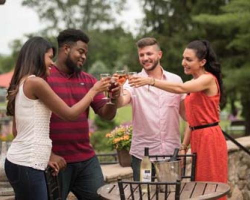 group of people cheering before drinking