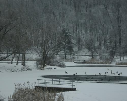 Duman Lake County Park_winter