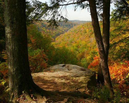 McConnells Mill State Park