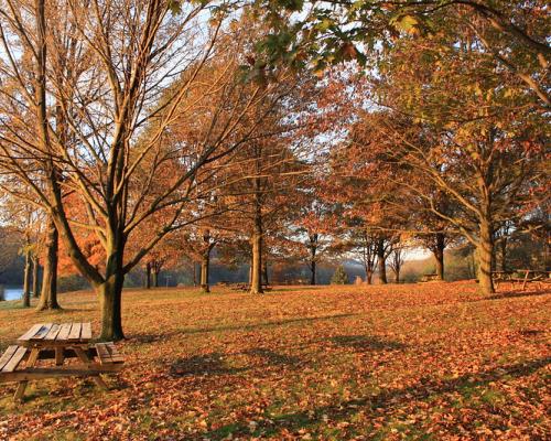 Moraine State Park