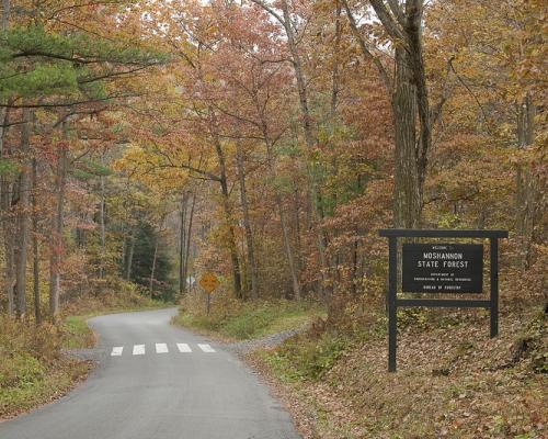 Moshannon State Forest