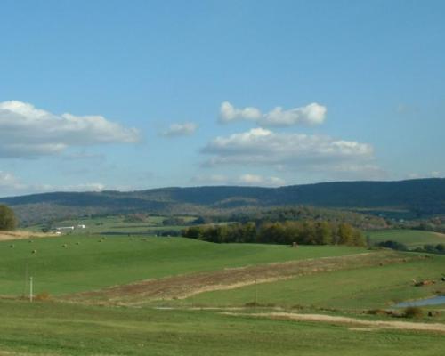 pasture in donegal