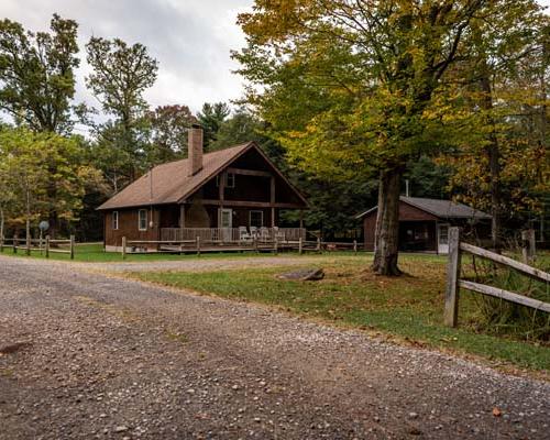 Cabin in woods