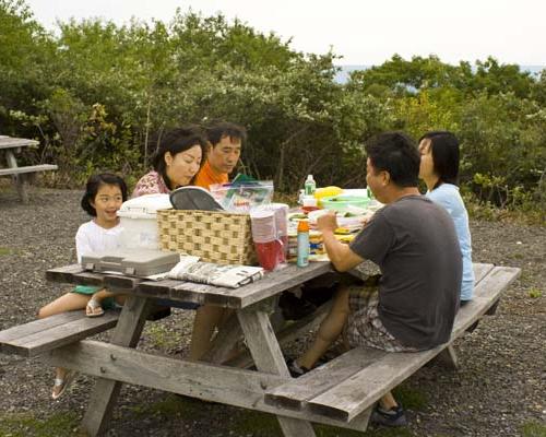 family picnic