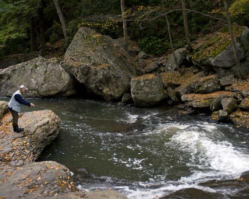 Ohiopyle State Park