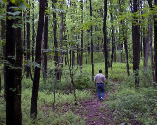 beltzville state park