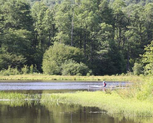 chapman state park